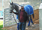 Haskin's Derby Trail: Leap of Faith