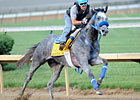 Steinmann Skis Into Derby With Creative Cause