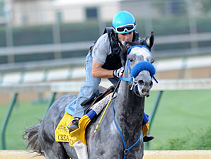 Creative Cause to Skip Belmont Stakes Creative Cause to Skip Belmont Stakes