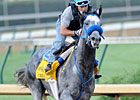 Creative Cause to Skip Belmont Stakes