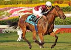 Two Graded Turf Events Top Calder Card Two Graded Turf Events Top Calder Card