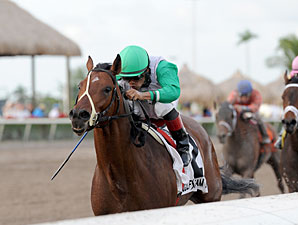 Hal's Hope Could Springboard Csaba to Donn Hal's Hope Could Springboard Csaba to Donn
