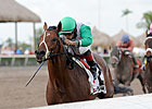Hal's Hope Could Springboard Csaba to Donn