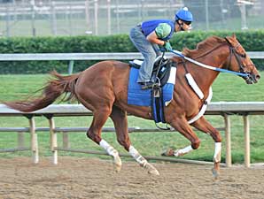 Curlin Expected to Make Stephen Foster Curlin Expected to Make Stephen Foster