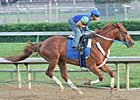 Opinons Differ on Curlin Sale Motion
