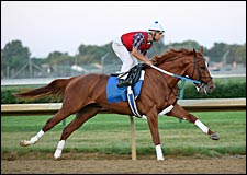 Curlin Completes Final Belmont Stakes Preparations Curlin Completes Final Belmont Stakes Preparations