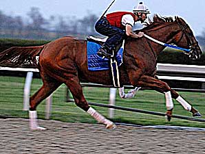 Curlin's Workout Planned Curlin's Workout Planned