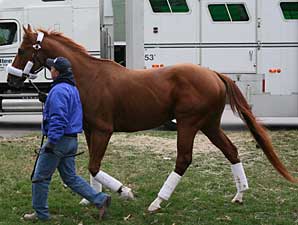 Curlin Back at Churchill Downs Curlin Back at Churchill Downs