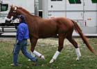 Curlin Back at Churchill Downs Curlin Back at Churchill Downs