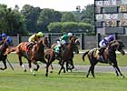 Asmussen: Curlin's 'Options are Open'