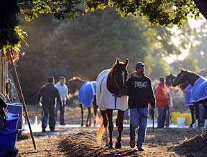 Curlin 'Perfect' in Work for Gold Cup Curlin 'Perfect' in Work for Gold Cup