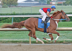 It's Back to Work for Curlin