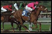 Owner's Insistence Results in Santa Ynez Win for Dancing Owner's Insistence Results in Santa Ynez Win for Dancing