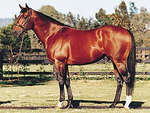 Pedigree Analysis: American Roots Pedigree Analysis: American Roots