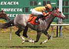 Ness, Centeno Set Track Marks at Tampa