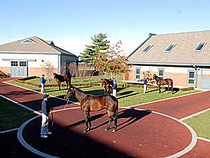 Darley Reaches Out to Florida Darley Reaches Out to Florida