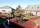 Darley Reaches Out to Florida Darley Reaches Out to Florida