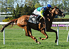 Dayatthespa Tallies in Comeback at Belmont Dayatthespa Tallies in Comeback at Belmont
