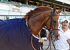 Trainer Brown Has Dayatthespa Ready Trainer Brown Has Dayatthespa Ready