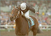 Santa Anita Race Report: No Average Joe Santa Anita Race Report: No Average Joe