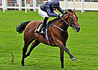 Declaration of War Flies to Queen Anne Win Declaration of War Flies to Queen Anne Win