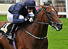 Declaration of War May Go Straight to Classic Declaration of War May Go Straight to Classic