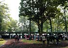 Officials Hopeful for Delaware Park Meet Officials Hopeful for Delaware Park Meet
