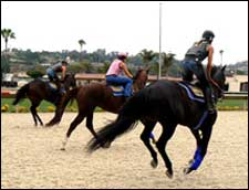 Farms and Del Mar Offering Shelter from Calif. Wildfires Farms and Del Mar Offering Shelter from Calif. Wildfires