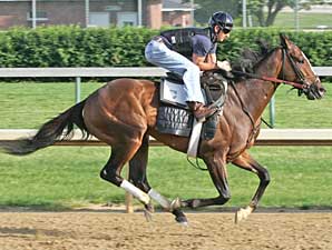 Ky Horses Delayed; Denis of Cork Works Ky Horses Delayed; Denis of Cork Works
