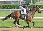 Ky Horses Delayed; Denis of Cork Works
