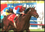 From the Print Edition: Tragedy in the Matriarch From the Print Edition: Tragedy in the Matriarch