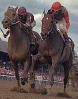 Travers Winner Deputy Commander Represented by First Winner Travers Winner Deputy Commander Represented by First Winner