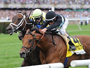 Desert Blanc Retired After Tendon Injury Desert Blanc Retired After Tendon Injury