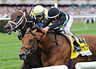 Desert Blanc Retired After Tendon Injury Desert Blanc Retired After Tendon Injury