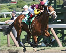 Discreet Cat Victorious in UAE Derby Prep Discreet Cat Victorious in UAE Derby Prep