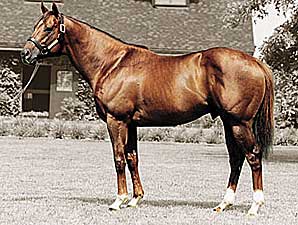 Distorted Humor's Fee Drops Distorted Humor's Fee Drops