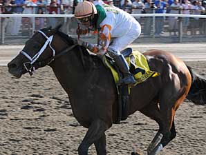 Airdrie Announces 2009 Stud Fees Airdrie Announces 2009 Stud Fees