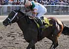 Divine Park Growing Sire's Legacy Divine Park Growing Sire's Legacy