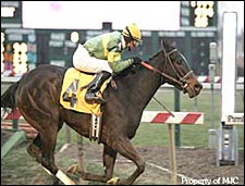 Dixie Talking Becomes 100th Stakes Winner for Dixieland Band Dixie Talking Becomes 100th Stakes Winner for Dixieland Band