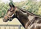 Dixieland Heat to Key Ranch Dixieland Heat to Key Ranch