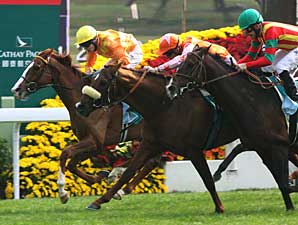 Doctor Dino Doubles Up in HK Vase Doctor Dino Doubles Up in HK Vase