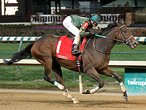 Don't Tell Sophia Rallies to Win Chilukki Don't Tell Sophia Rallies to Win Chilukki