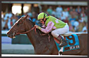 Gulfstream Park Race Report: Dream Machine Gulfstream Park Race Report: Dream Machine