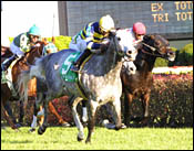 Churchill Downs Race Report: Fall Hues Churchill Downs Race Report: Fall Hues