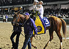 WinStar to Auction Racing Items for Charity 