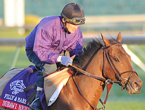 Dubawi Heights on the Rise for F&M Turf Dubawi Heights on the Rise for F&M Turf