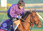 Dubawi Heights on the Rise for F&M Turf Dubawi Heights on the Rise for F&M Turf