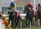 Eagle Mountain Soars in Hong Kong Cup Eagle Mountain Soars in Hong Kong Cup