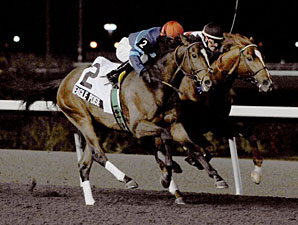 Eagle Poise Wins Marathon Valedictory At Wire Eagle Poise Wins Marathon Valedictory At Wire