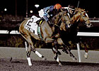 Marathon Valedictory Closes Out Woodbine Meet Marathon Valedictory Closes Out Woodbine Meet
